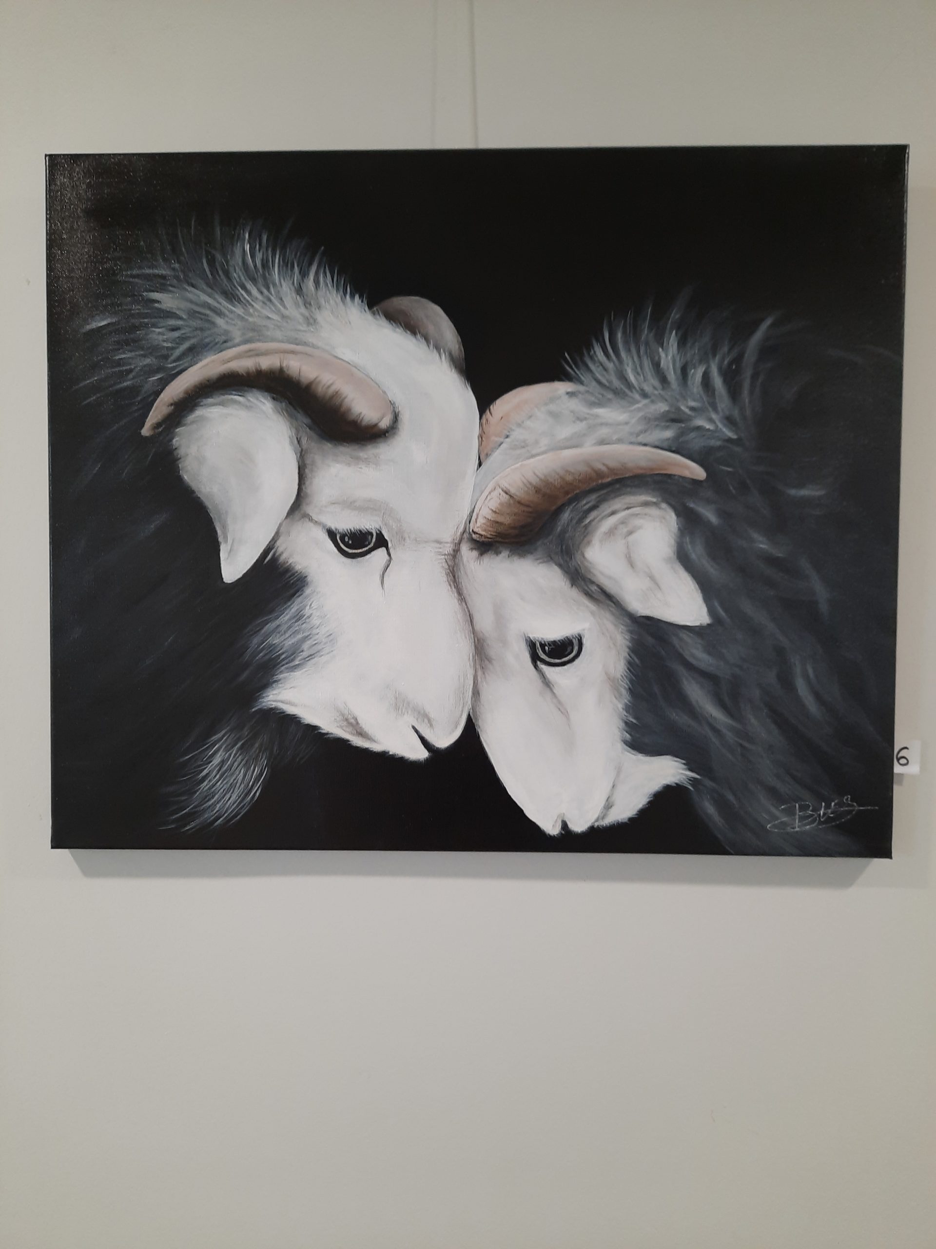 20220106_115759-scaled