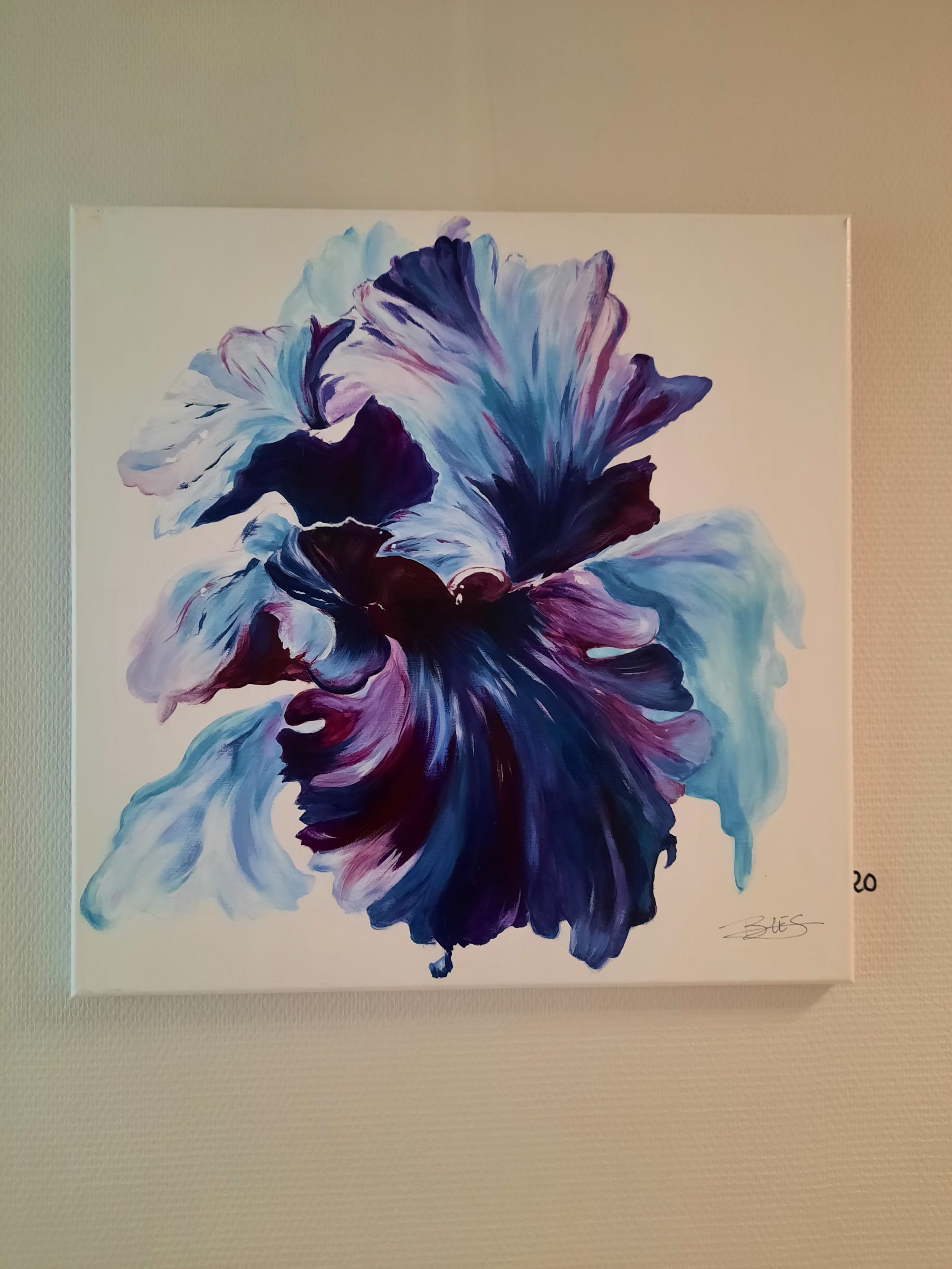 20210204_125213-scaled