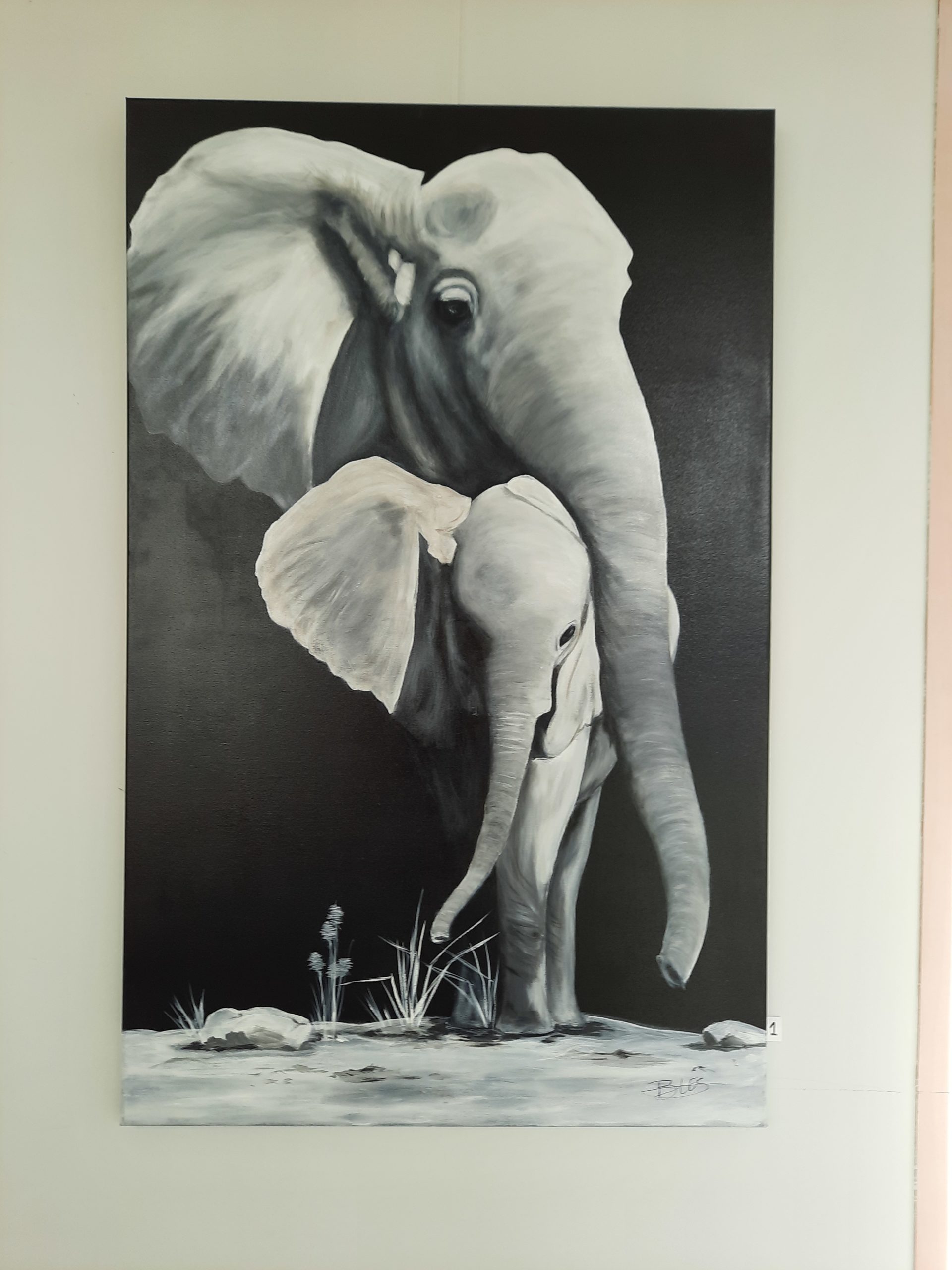 20220106_115423-scaled