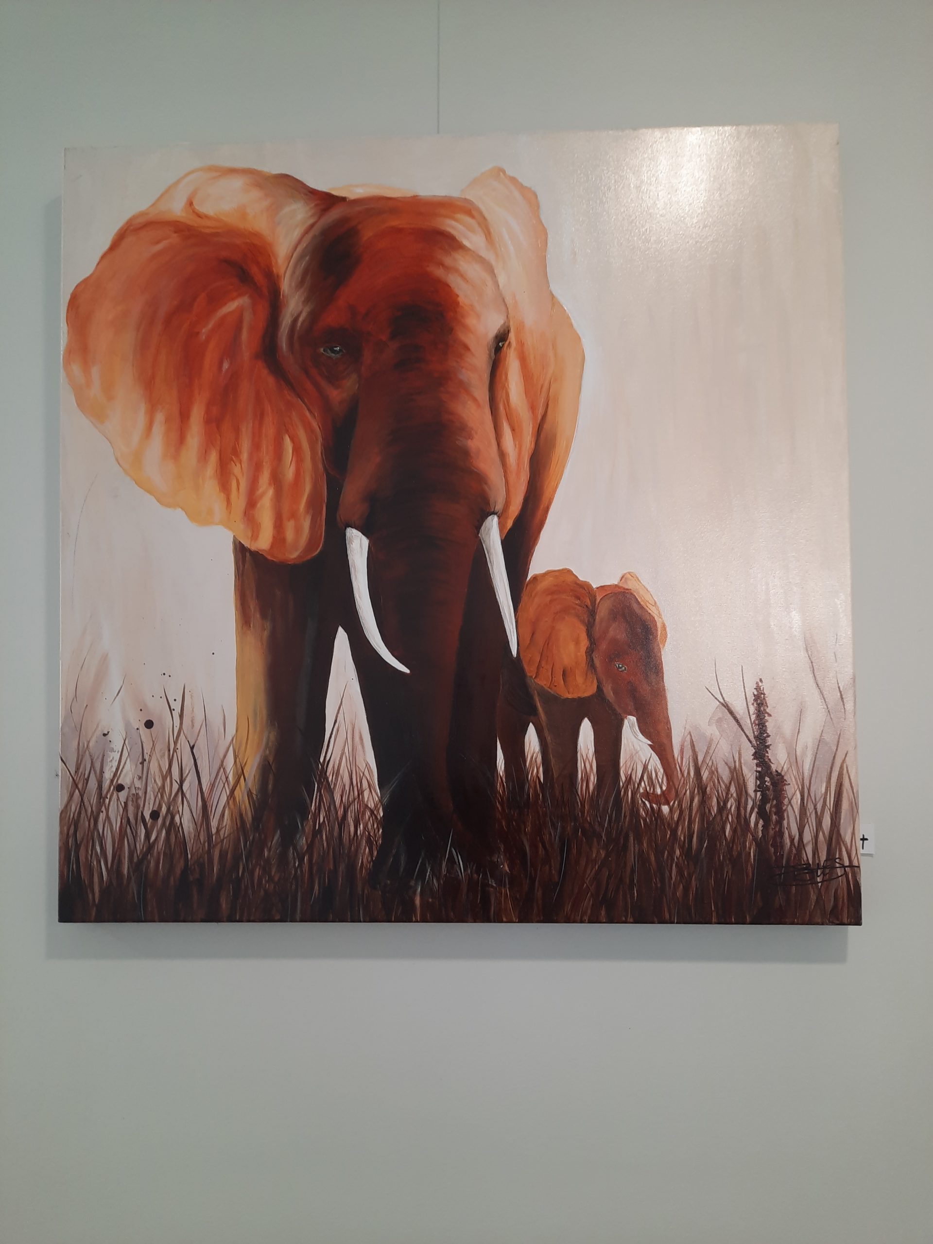 20220106_115544-scaled